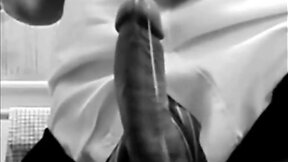 Hands free seed many scenes